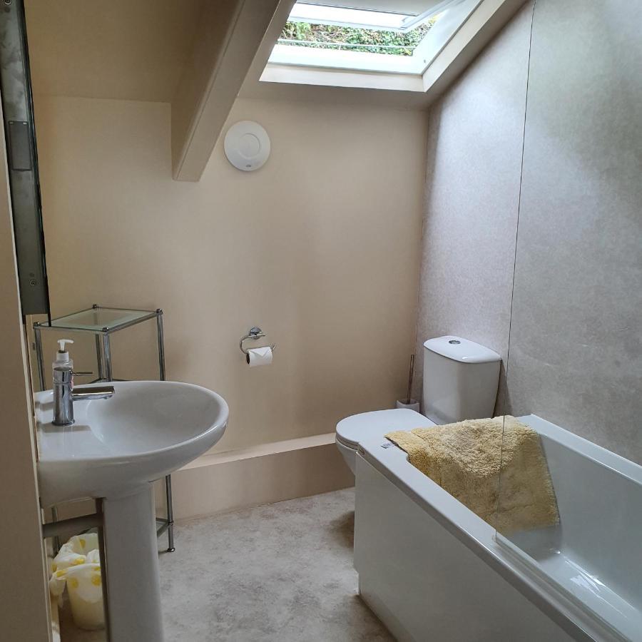 Pendyffryn Manor Bed & Breakfast Little Haven Exteriör bild