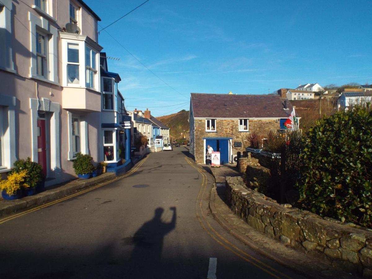 Pendyffryn Manor Bed & Breakfast Little Haven Exteriör bild